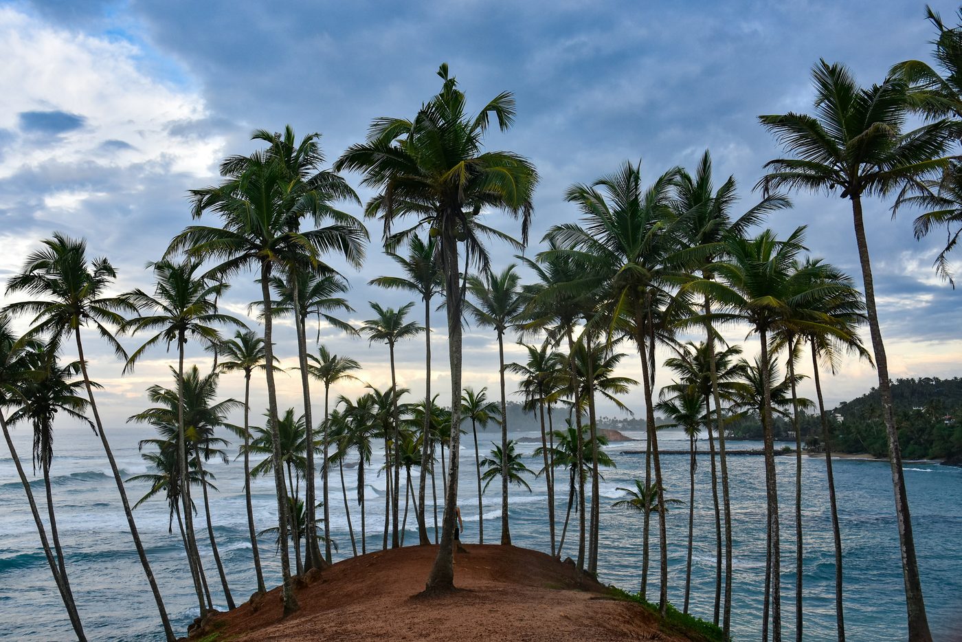Coconut tree hill, Mirissa, southern Sri Lanka