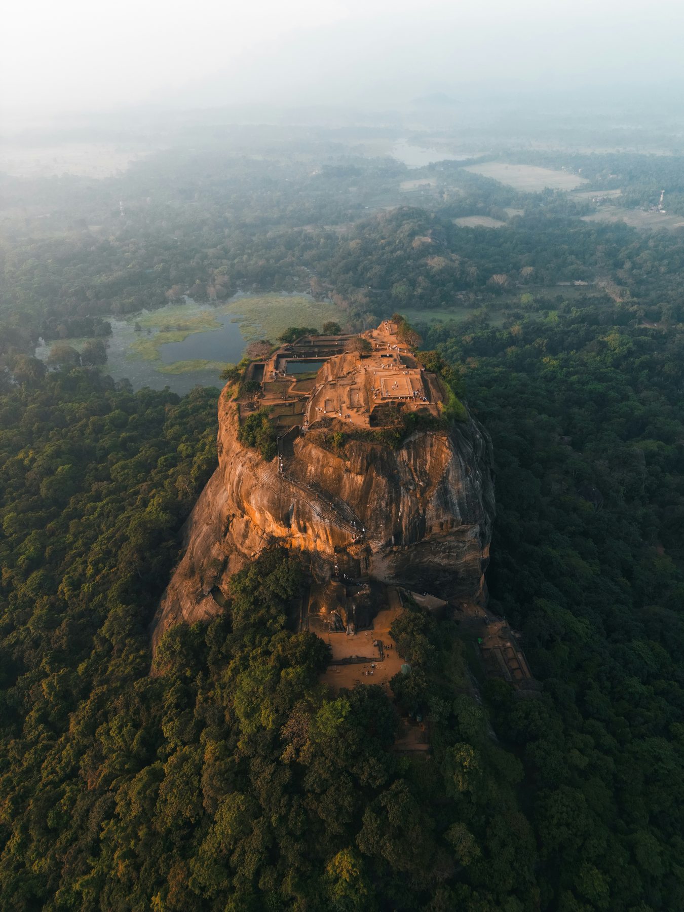 Sigiriya rock fortress rising above the jungle canopy, Sri Lanka